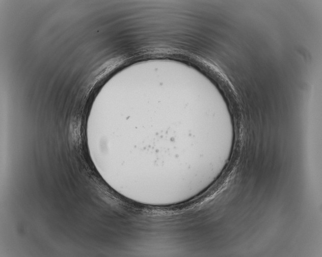 X0000115090873200911101522
