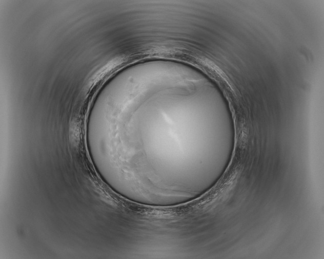 X0000115090874200911101522