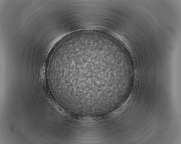 X0000115090875200911101522