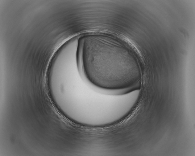 X0000115090876200911101522