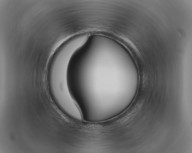 X0000115090878200911101522