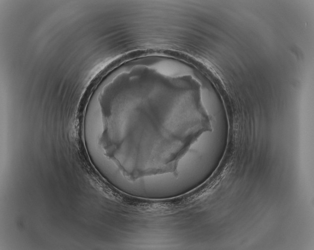 X0000115090879200911101522