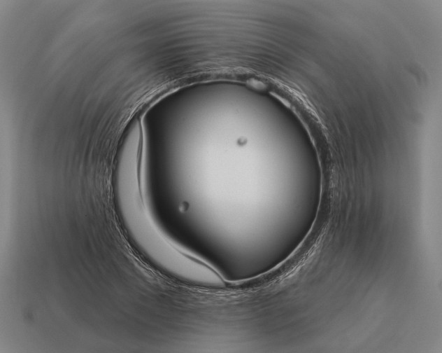 X0000115090881200911101521
