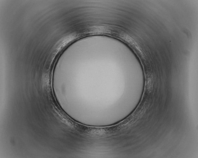 X0000115090882200911101521