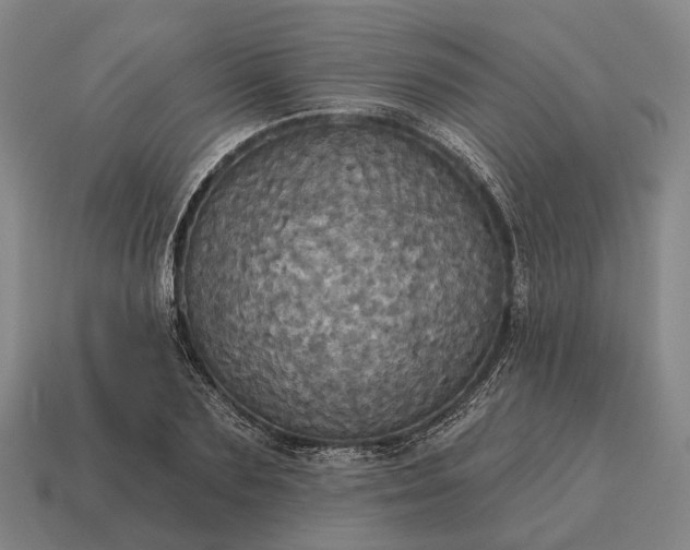 X0000115090883200911101521