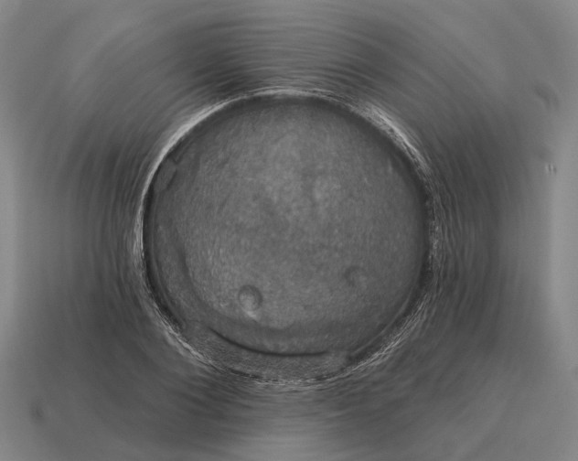 X0000115090884200911101521