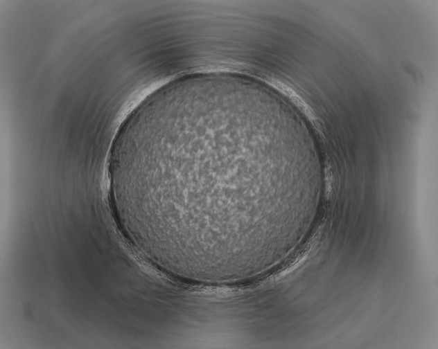 X0000115090885200911101521