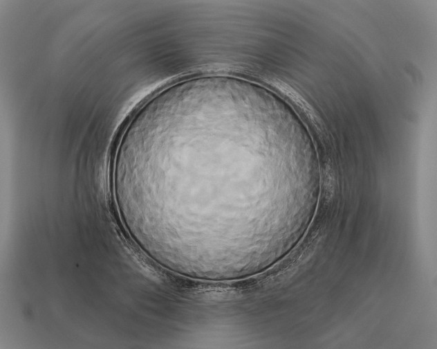 X0000115090886200911101521