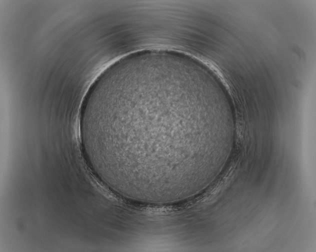 X0000115090887200911101521