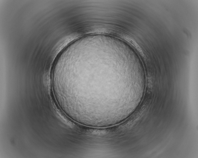 X0000115090890200911101521