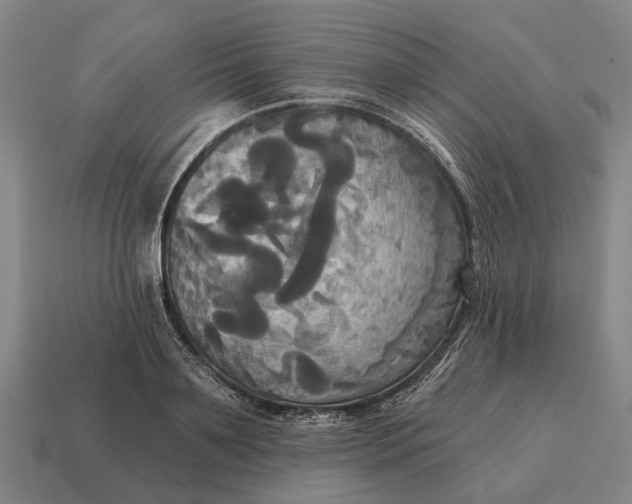 X0000115090891200911101521