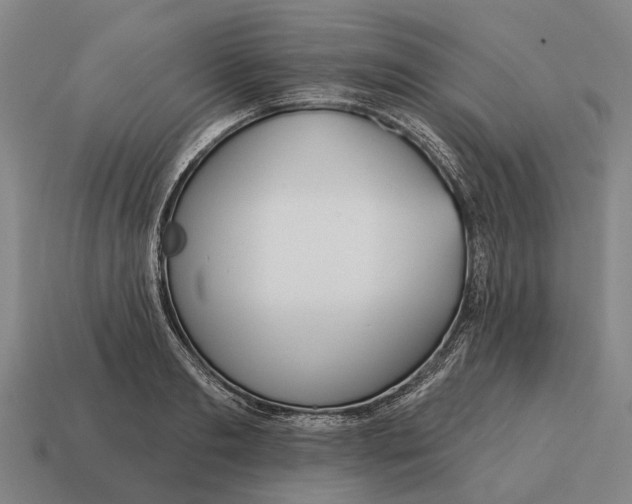 X0000115090893200911101521