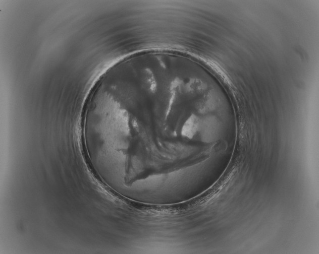 X0000115090895200911101521
