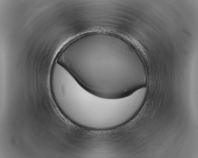 X0000115090896200911101521