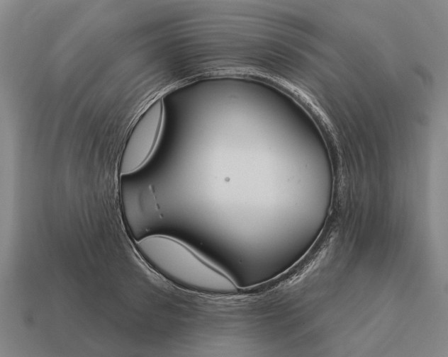 X0000115090897200911101521