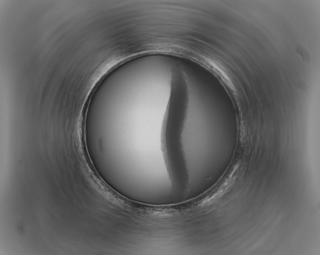 X0000115090899200911101521