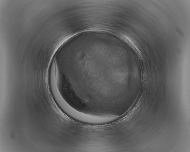X0000115090900200911101521