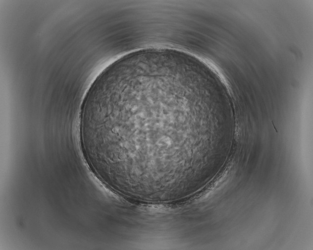 X0000115090903200911101521