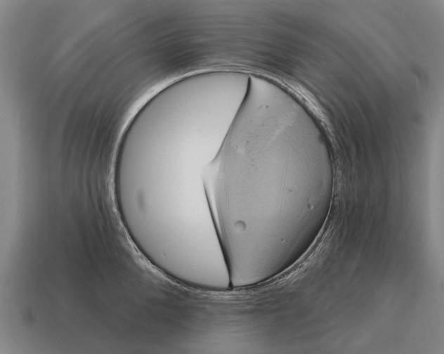 X0000115090904200911101521