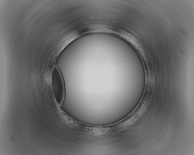 X0000115090905200911101521