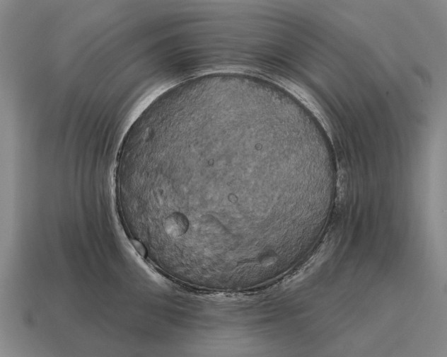 X0000115090906200911101521