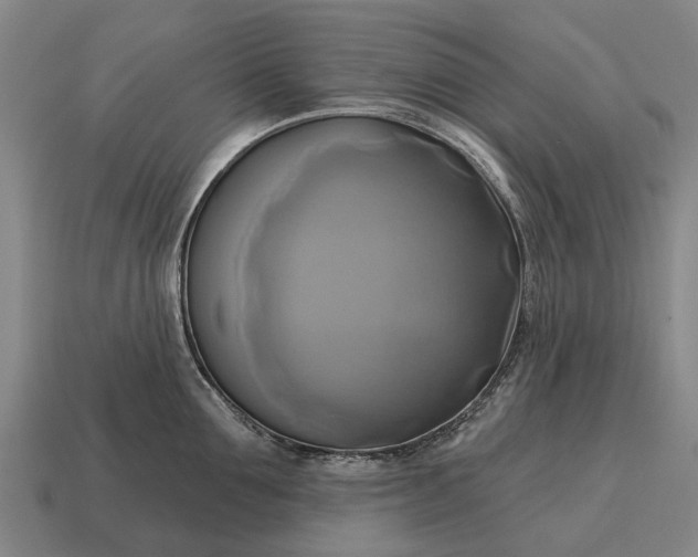 X0000115090907200911101521