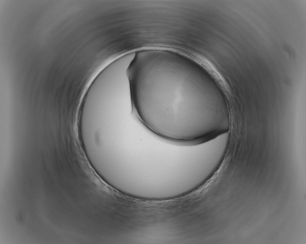 X0000115090908200911101521