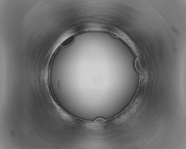 X0000115090909200911101521
