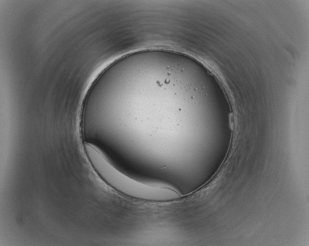 X0000115090912200911101521