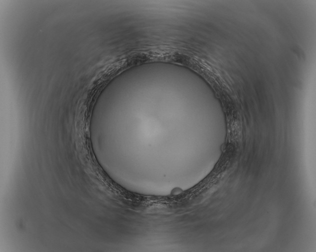 X0000115090913200911101520