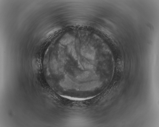 X0000115090918200911101520