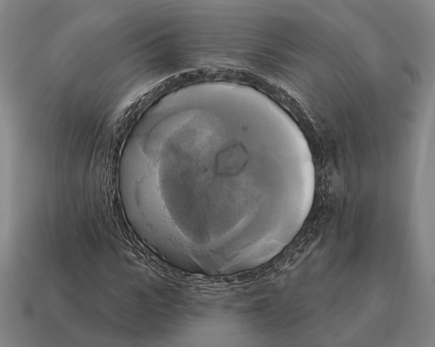 X0000115090919200911101520