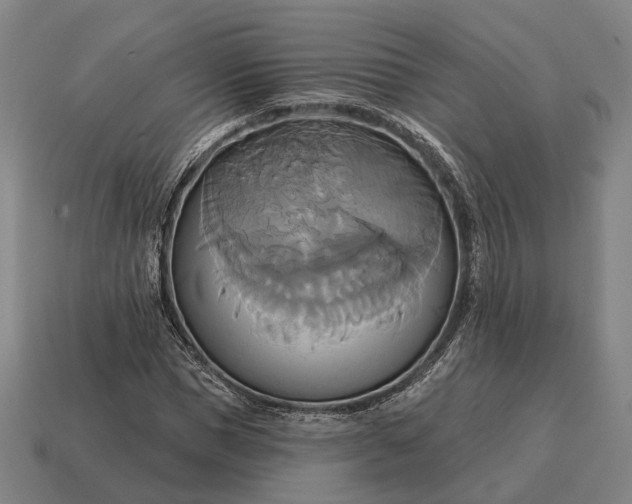 X0000115090921200911101520