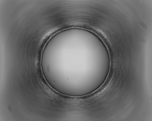 X0000115090922200911101520