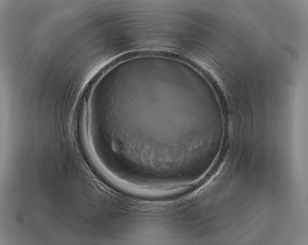 X0000115090925200911101520