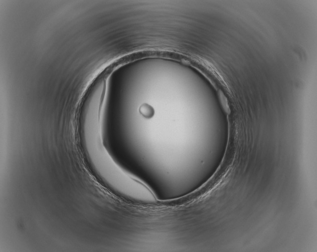 X0000115090926200911101520