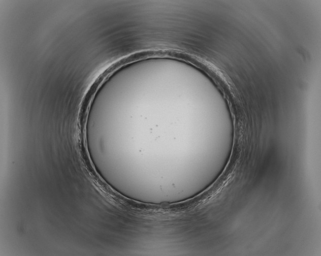 X0000115090927200911101520