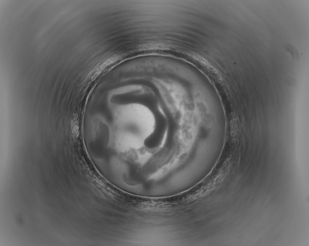 X0000115090929200911101520