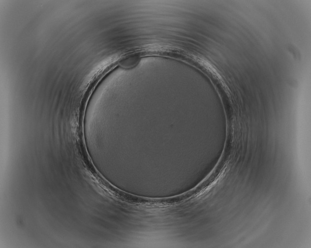 X0000115090930200911101521