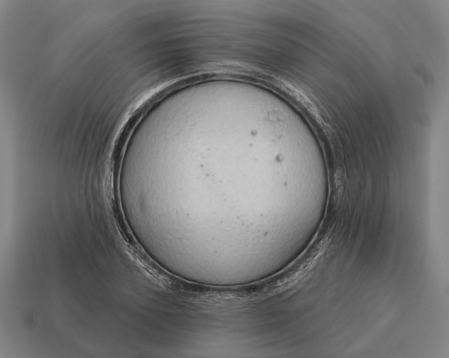 X0000115090931200911101521