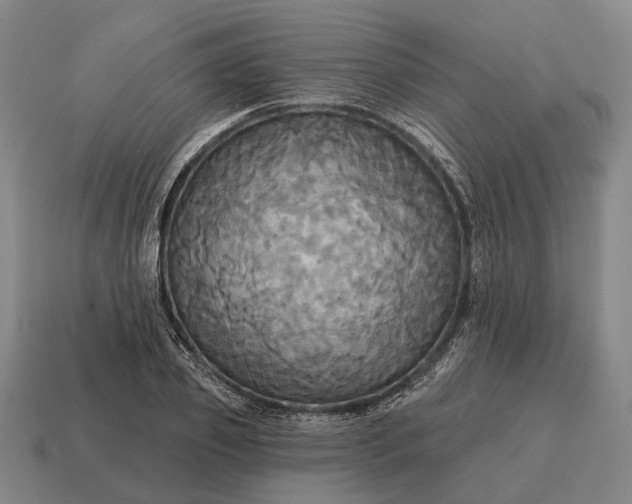 X0000115090933200911101521