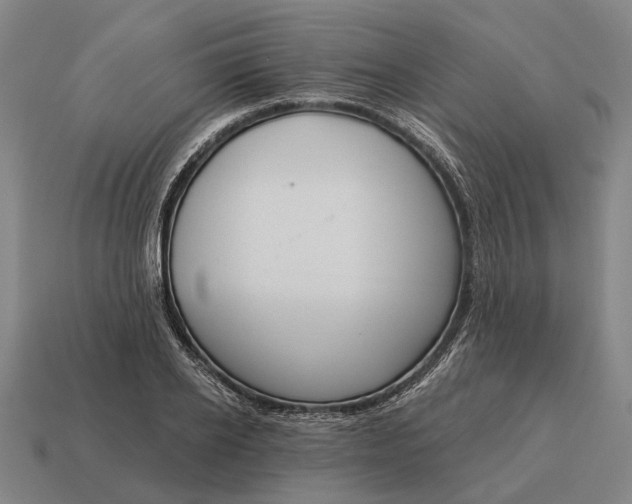 X0000115090934200911101521
