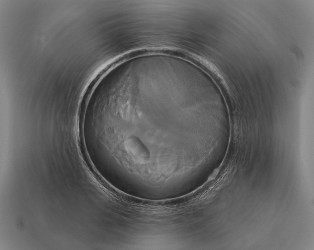 X0000115090935200911101521