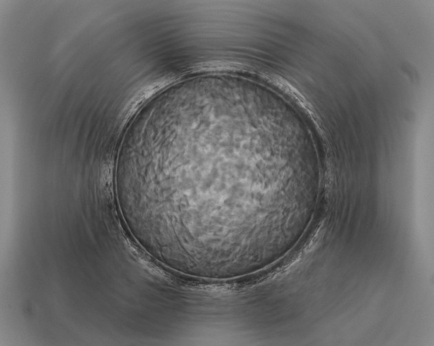 X0000115090937200911101521