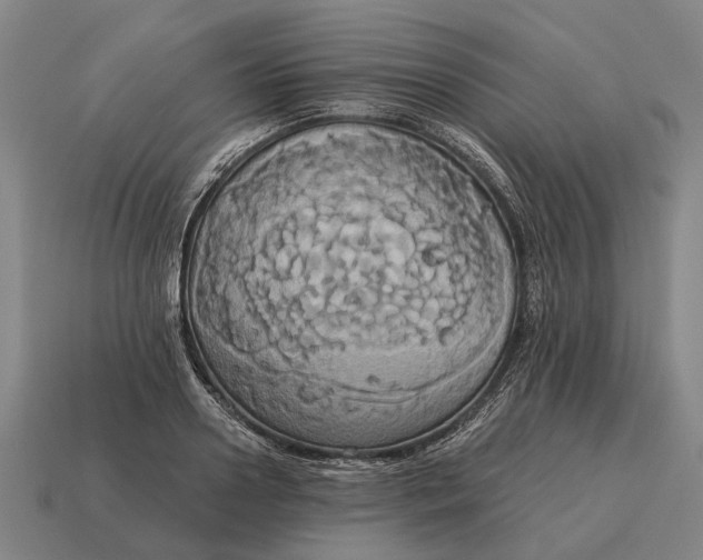 X0000115090938200911101521