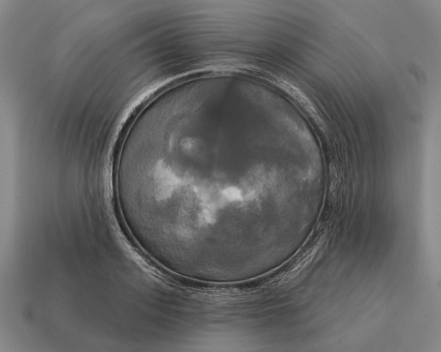 X0000115090939200911101521