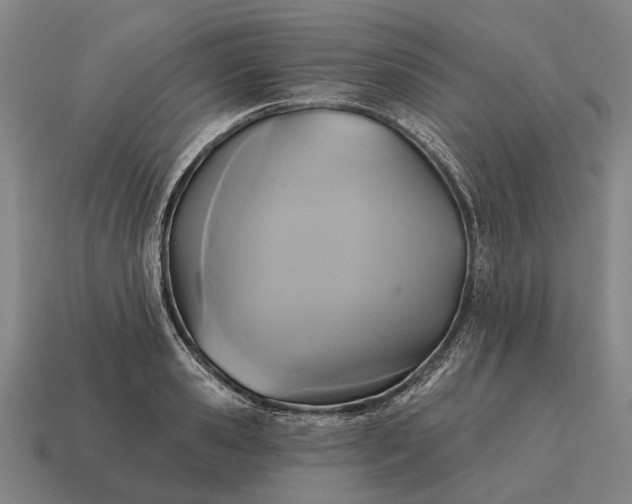 X0000115090941200911101521