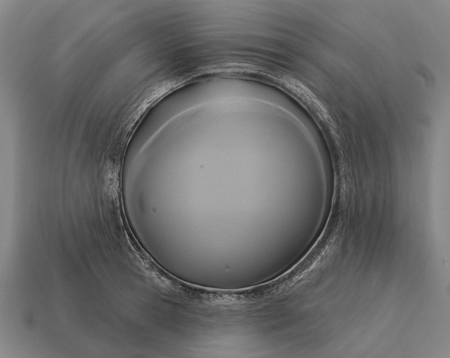 X0000115090945200911101521