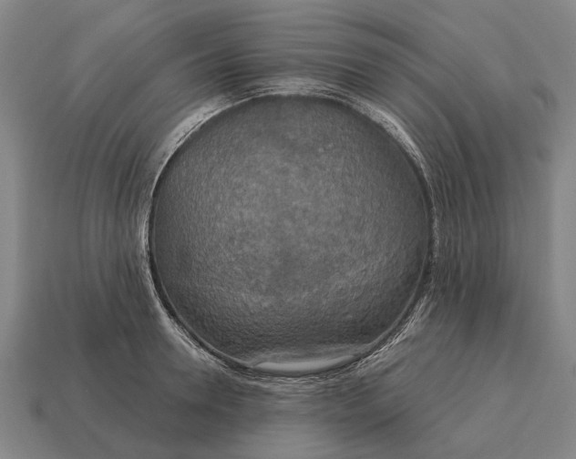 X0000115090946200911101521