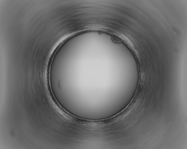 X0000115090947200911101521